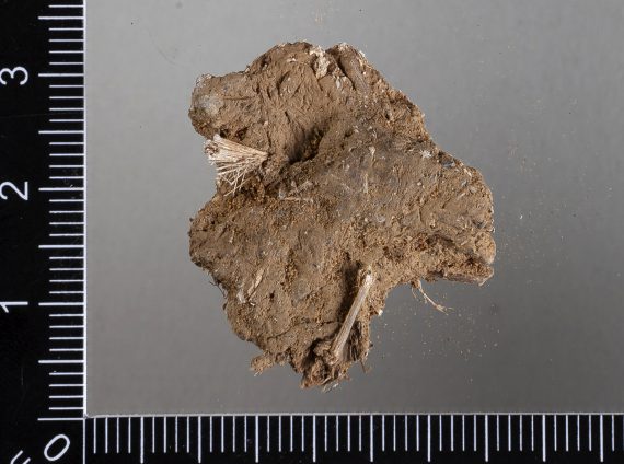 Asbestisekoitteinen saviastian pala (noin 1900−1000 eaa.)